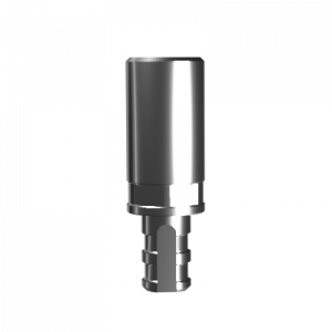3D-������ ����������, ����. � STRAUMANN BL RC (V. 2)