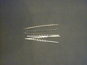 ���� �������� ��������� (20 ��)