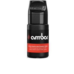 ���� AMBAR ������������.������� V  ��������� ��� ����� � ������� 1��6��