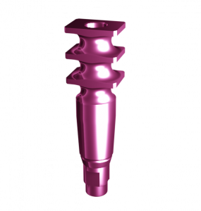 �������� ��� �������� �����, ����. � STRAUMANN BL RC (V. 2), F14
