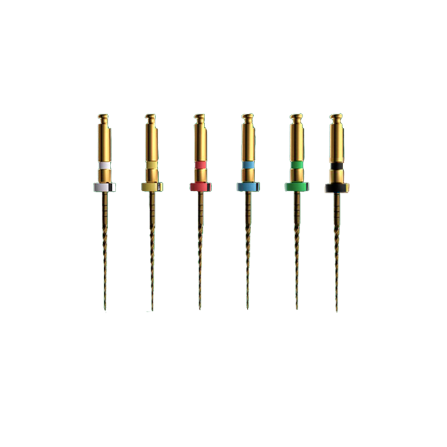 ProFile E-FLEX Gold (13.02 ). �������e ����������� 25��