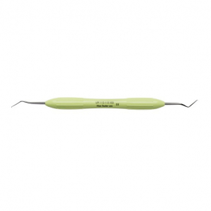 ������� Hoe Scaler anterior LM 112-113 ES