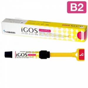IGOS Universal ���� B2 (1���.- 4�.) �����������������, ����������������� ��������